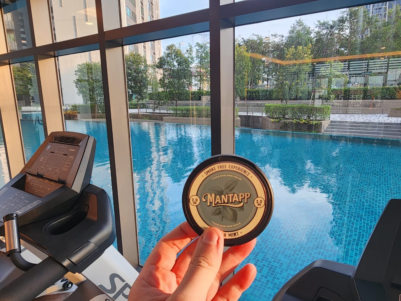 6mg Mantapp Choco Dino