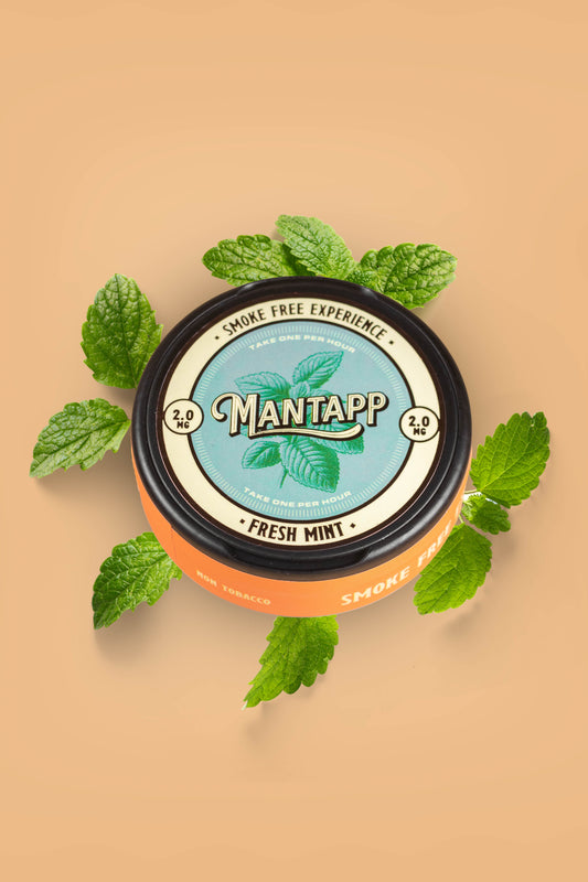 Mantapp Pouch - Fresh Mint 2mg